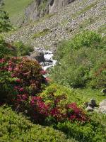 Youri - Ecrins 2005 049